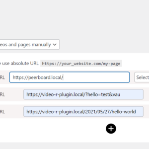 Video Reviews Pro - Video Widget WordPress Plugin