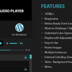 Disk Audio Player For WordPress