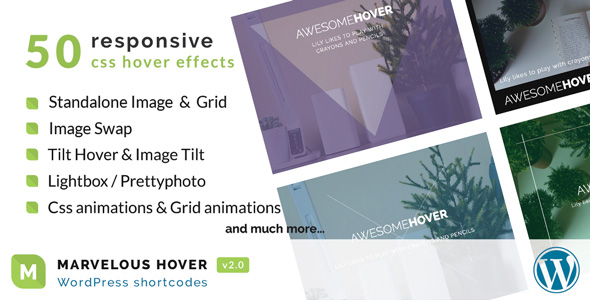 Marvelous Hover Effects | WordPress plugin