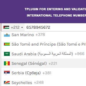 Elementor Forms - International Phone Masking field