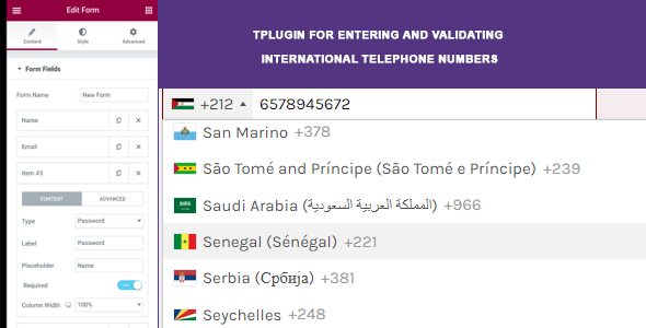 Elementor Forms - International Phone Masking field