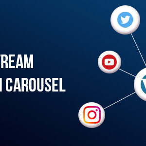 Social Stream for WordPress With Carousel