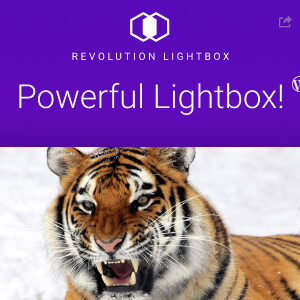 Revolution Lightbox Wordpress Plugin