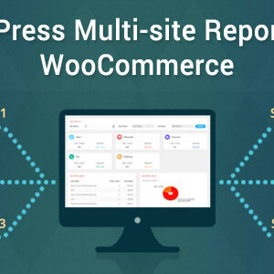 WordPress Multi-site Reports