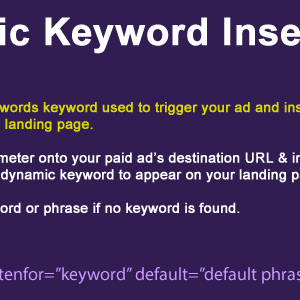 Wordpress Dynamic Keyword Insertion