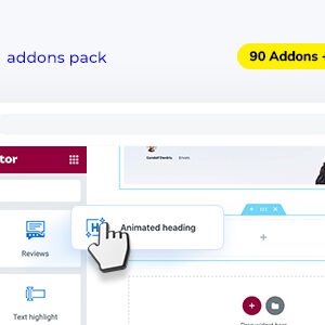 Selection  – Elementor Addons Pack for WordPress