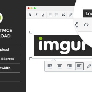 Wordpress TinyMCE custom upload