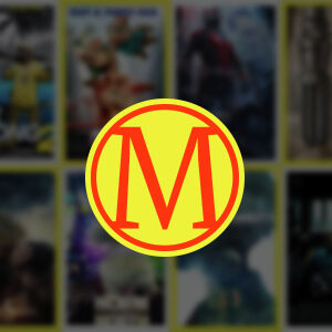 Wordpress Movies Bulk Importer