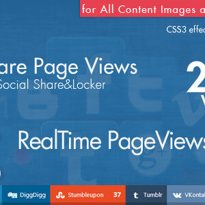Social Share Page Views AddOn - WordPress