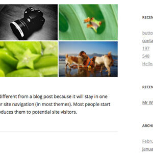 Ribbon Panel WordPress Plugin