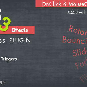 Animation CSS3 Effects Wordpress Plugin