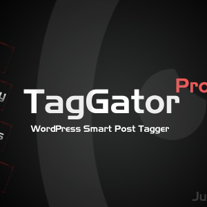 TagGator Pro. WordPress Auto Tagging Plugin