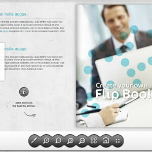 Business FlipBook WordPress plugin