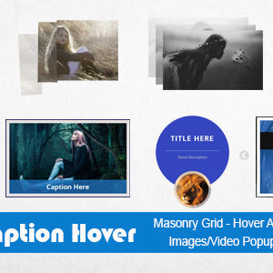 Image Caption Hover Pro WordPress Plugin