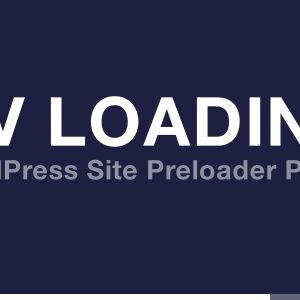 DV Loading - WordPress Site Preloader Plugin
