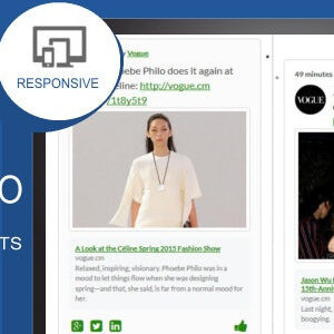 Social SEO Responsive Timeline Feed