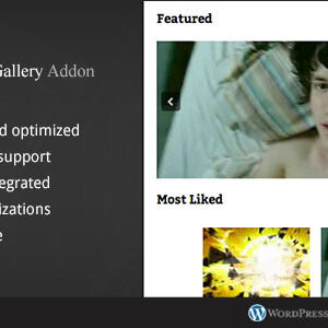Video Portal - WordPress Video Gallery AddOn