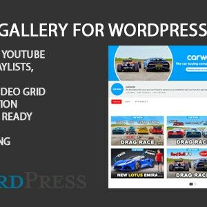 Youtube Gallery Portfolio WordPress Plugin