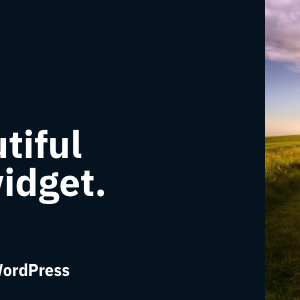 Live Chat Experience