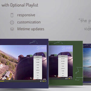 Video Player 360 WordPress - Video Gallery DZS Add On