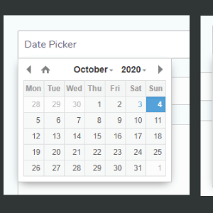 Date Time Picker for WPForms WordPress Plugin