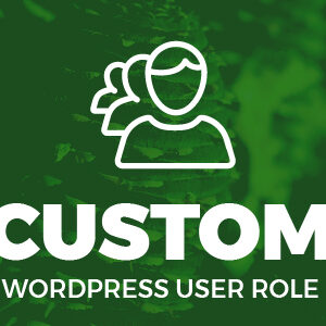 Custom WordPress User Role